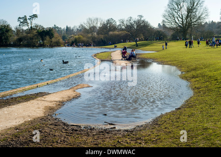 Teich im Verulamium Park, St Albans, überflutete noch am 9. März 2014, nach dem regenreichsten Winter aktenkundig. Stockfoto