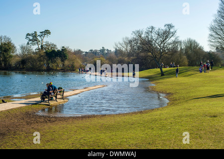 Teich im Verulamium Park, St Albans, überflutete noch am 9. März 2014, nach dem regenreichsten Winter aktenkundig. Stockfoto