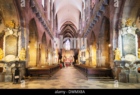 Kathedrale St. Johannes des Täufers, Breslau, Schlesien, Polen, Europa Stockfoto