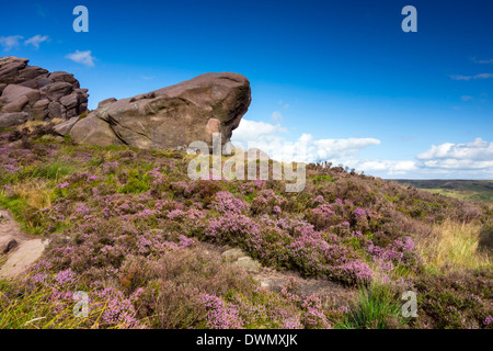 Gritstone Klippen, Ramshaw Felsen, Staffordshire, Peak District Stockfoto