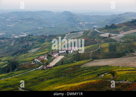 Weinberge in der Nähe von La Morra, Langhe, Cuneo Bezirk, Piemont, Italien, Europa Stockfoto