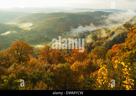 Am frühen Morgen Blick von Oberburg Burg der Pfälzer Wald, Rheinland-Pfalz, Deutschland, Europa Stockfoto