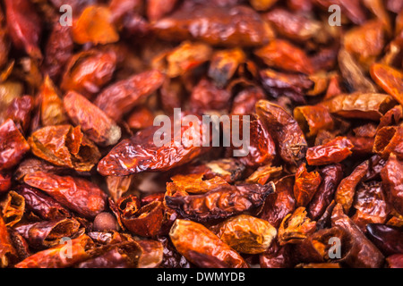 Makro von getrocknete Red hot Chili Peppers. Stockfoto