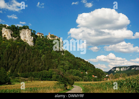 Blick auf Donautal (Donautal), Schaufelsen und Werenwag Burg, Schwäbische Alb, Baden-Württemberg, Deutschland, Europa Stockfoto