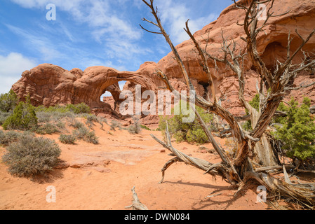 Double Arch, Windows Abschnitt, Arches-Nationalpark, Utah, Vereinigte Staaten von Amerika, Nordamerika Stockfoto