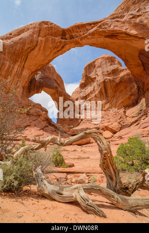 Double Arch, Windows Abschnitt, Arches-Nationalpark, Utah, Vereinigte Staaten von Amerika, Nordamerika Stockfoto
