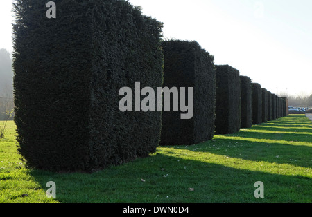 Caen Memorial Gardens, Normandie, Frankreich Stockfoto