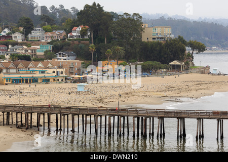 Wharf, Capitola, Santa Cruz County, California, Vereinigte Staaten von Amerika, Nordamerika Stockfoto