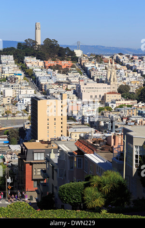 Lombard Street, San Francisco, Kalifornien, Vereinigte Staaten von Amerika, Nordamerika Stockfoto