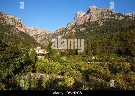 Sierra Tramuntana, Mallorca, Balearische Inseln, Spanien, Europa Stockfoto