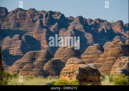 Der Bienenstock-wie Grabhügel im Purnululu National Park, der UNESCO, Bungle Bungle Gebirgskette, Western Australia, Australien Stockfoto