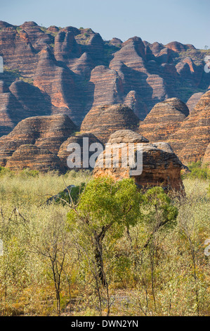 Der Bienenstock-wie Grabhügel im Purnululu National Park, der UNESCO, Bungle Bungle Gebirgskette, Western Australia, Australien Stockfoto