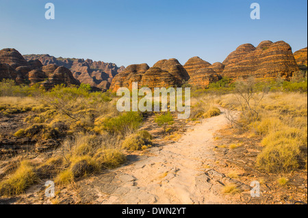 Der Bienenstock-wie Grabhügel im Purnululu National Park, der UNESCO, Bungle Bungle Gebirgskette, Western Australia, Australien Stockfoto