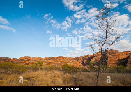 Der Bienenstock-wie Grabhügel, Purnululu National Park, der UNESCO, Bungle Bungle Gebirgskette, Western Australia, Australien Stockfoto