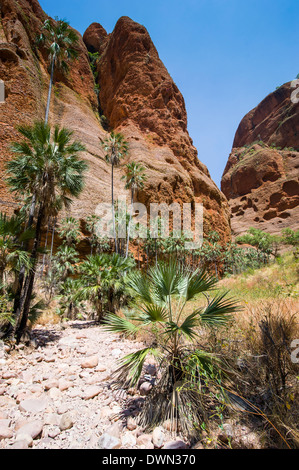 Echidna Chasm Spaziergang, Purnululu National Park, UNESCO Website, Bungle Bungle Range, Western Australia, Australien, Pazifik Stockfoto