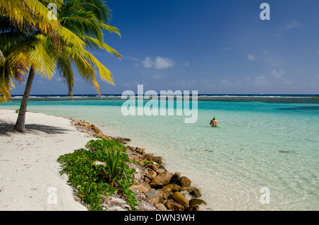 Belize, Stann Creek District, South Wasser Caye Marine Reserve (SWCMR). UNESCO. Palmen gesäumten Insel Weg mit Schnorchler. Stockfoto