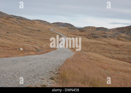 Grönland, Qeqqata Gemeinde, Kangerlussuaq (große Fjord) aka Sondrestrom. Die längste Straße in Grönland. Stockfoto