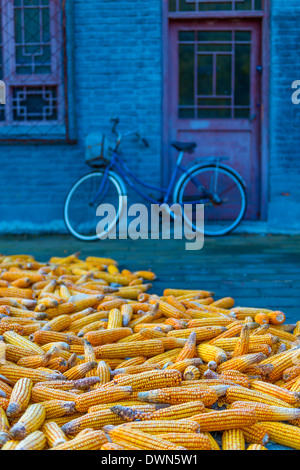Mais (Corn) trocknen, Gubeikou, Miyun Grafschaft, Stadt Peking, China, Asien Stockfoto
