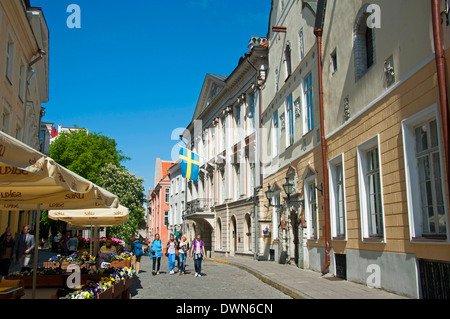 Haus, Tallinn Stockfoto