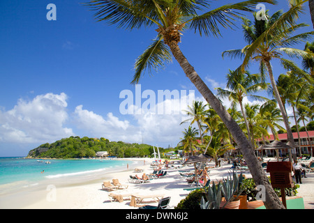 Strand und Palmen Bäume, Long Bay, Antigua, Leeward-Inseln, West Indies, Karibik, Mittelamerika Stockfoto