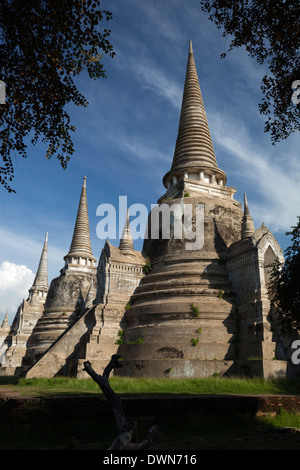 Ruinen des Wat Phra Sri Sanphet Ayutthaya, UNESCO World Heritage Site, Provinz Ayutthaya, Thailand, Südostasien, Asien Stockfoto