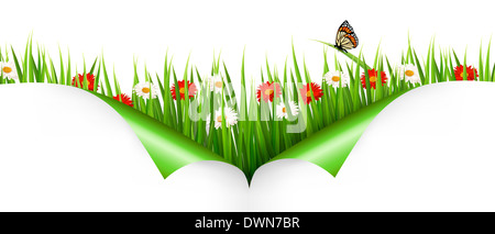 Frühling-Hintergrund mit Blumen, Gräser und ein Marienkäfer. Vektor. Stockfoto