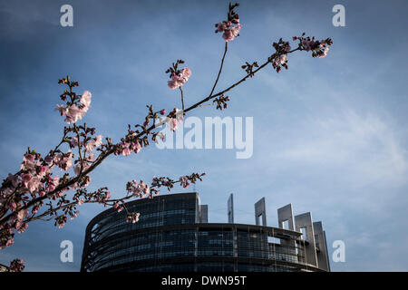 Straßburg, Bxl, Frankreich. 11. März 2014. Bäume blühen vor dem Europäischen Parlament Hauptquartier Gebäude in Straßburg auf 11.03.2014 © Wiktor Dabkowski/ZUMAPRESS.com/Alamy Live News Stockfoto