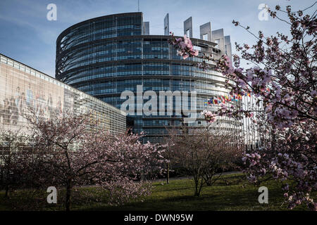 Straßburg, Bxl, Frankreich. 11. März 2014. Bäume blühen vor dem Europäischen Parlament Hauptquartier Gebäude in Straßburg auf 11.03.2014 © Wiktor Dabkowski/ZUMAPRESS.com/Alamy Live News Stockfoto