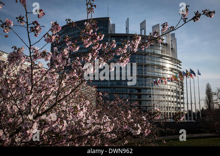 Straßburg, Bxl, Frankreich. 11. März 2014. Bäume blühen vor dem Europäischen Parlament Hauptquartier Gebäude in Straßburg auf 11.03.2014 © Wiktor Dabkowski/ZUMAPRESS.com/Alamy Live News Stockfoto