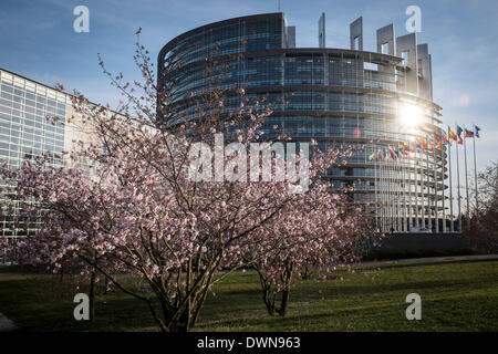 Straßburg, Bxl, Frankreich. 11. März 2014. Bäume blühen vor dem Europäischen Parlament Hauptquartier Gebäude in Straßburg auf 11.03.2014 © Wiktor Dabkowski/ZUMAPRESS.com/Alamy Live News Stockfoto