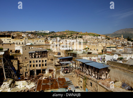 Gerberei und Stadtbild, Fes (Fez), Marokko, Nordafrika, Afrika Stockfoto