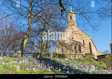 Krokusse blühen unter Heiligen Dreifaltigkeit Kirche Washington Village North East England UK Stockfoto