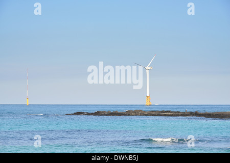 Windkraftanlagen im Meer, Insel Jeju Stockfoto