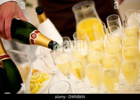 Kellner Champagner in Gläser gießen, während Hochzeit Stockfoto