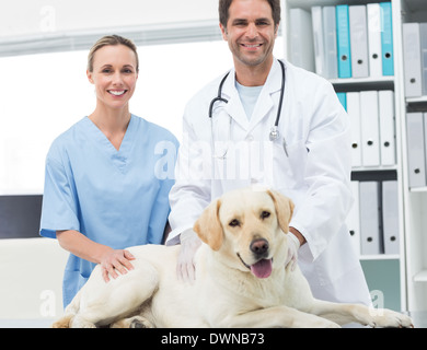 Tierärzte mit Hund in Klinik Stockfoto