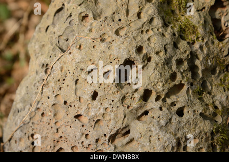 Nahaufnahme der vesikuläre Basalt Oberfläche in Jeju Stockfoto