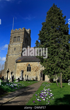 Gesamtansicht von der Pfarrei Kirche St. Michael der Erzengel, Smarden, Kent an einem sonnigen Tag Stockfoto