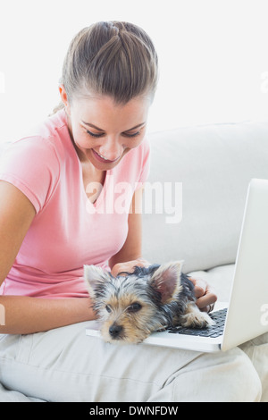 Hübsche Frau mit Laptop mit ihrem Yorkshire-terrier Stockfoto