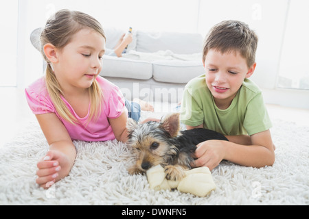 Geschwister auf Teppich liegend mit ihren Yorkshire Terrier Welpen Stockfoto