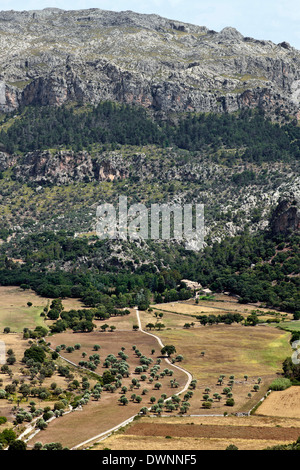 Landschaft im Tramuntana-Gebirge, Mallorca, Balearen, Spanien Stockfoto