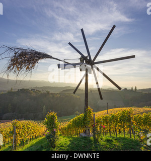 Klapotetz Vogel scarer und einem Weinberg im Abendlicht, špičnik, pešnica, Slowenien Stockfoto