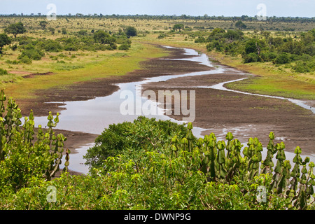 Blick von der Ausflugsort der Mlondozi Damm über die offene Savanne vom N'wagovilla-Hügel in der Nähe von niedrigeren Sabie, Krüger-Nationalpark Stockfoto