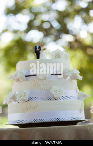 Figur paar auf Hochzeitstorte im park Stockfoto