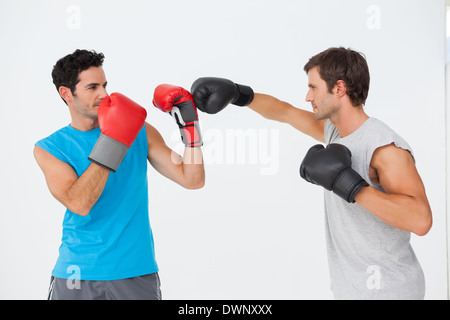 Seitenansicht von zwei männlichen Boxer üben Stockfoto