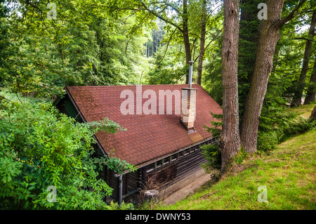 Einsamen verlassenen Holzhaus im Wald Stockfoto