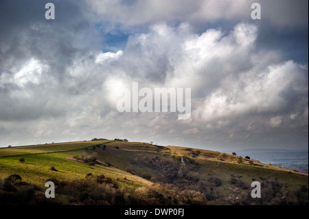 Kithurst Hill auf der South Downs in der Nähe von Storrington, West Sussex, UK Stockfoto