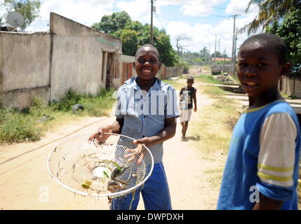 Maputo, Mosambik. 27. Februar 2013. Kinder präsentieren in der Kanalisation in einem Bairro Maputo, Mosambik, 27. Februar 2013 gefangenen Fisch. Viele Gewässer in diesem Bereich sind mit Malaria befallen. Foto: Britta Pedersen - kein Draht-SERVICE-/ Dpa/Alamy Live News Stockfoto