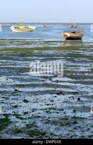 Maputo, Mosambik. 15. August 2013. Angelboote/Fischerboote am Strand bei Ebbe in Maputo, Mosambik, 15. August 2013 liegen. Foto: Britta Pedersen/Dpa/Alamy Live News Stockfoto