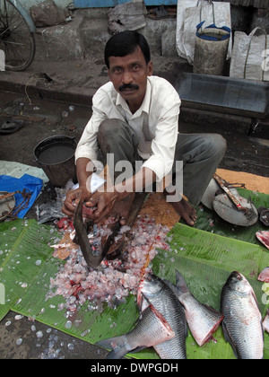 Mann, Verkauf von Fischen an einem Straßenmarkt am 1. Februar 2009 im Bereich Chowringhee Kolkata, Westbengalen, Indien Stockfoto