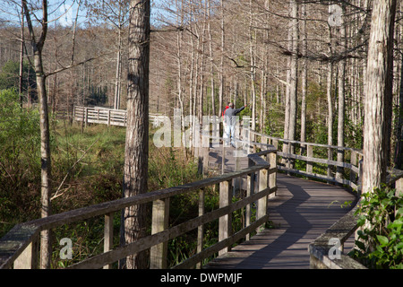 Naples, Florida - Menschen auf der Promenade in der National Audubon Society Corkscrew Swamp Sanctuary. Stockfoto